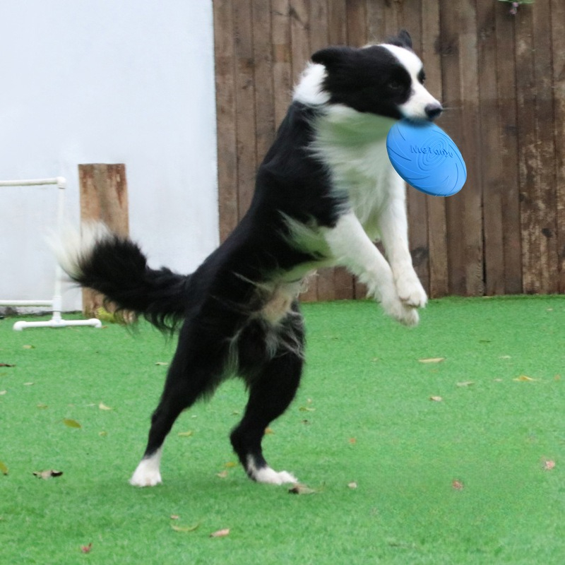 Frisbee Freestyle Disc - Frisbee per Cani, Frisbee Speciale per