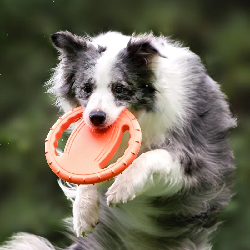 Frisbee Freestyle Disc - Frisbee Resistente per Cani, Giocattolo Volante