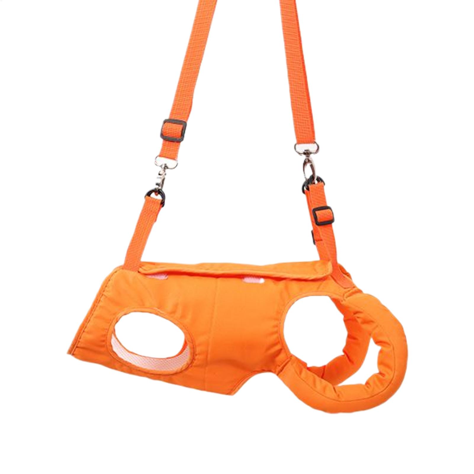 Ladder Toss Set - Porta imbracatura per cani di grandi