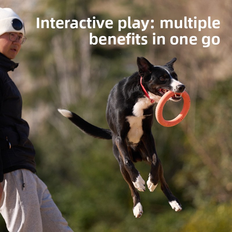 Frisbee per Cani con Anello Mo - Frisbee Freestyle Disc recensione e prezzo