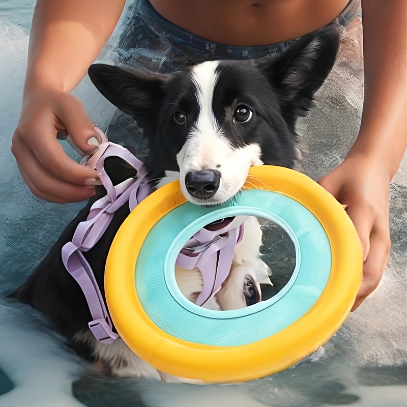 Frisbee Galleggiante per Cani, - Frisbee Freestyle Disc recensione e prezzo