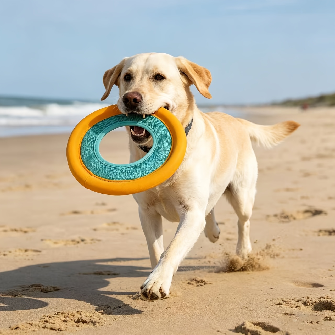 Frisbee Galleggiante per Cani, - Frisbee Freestyle Disc recensione e prezzo
