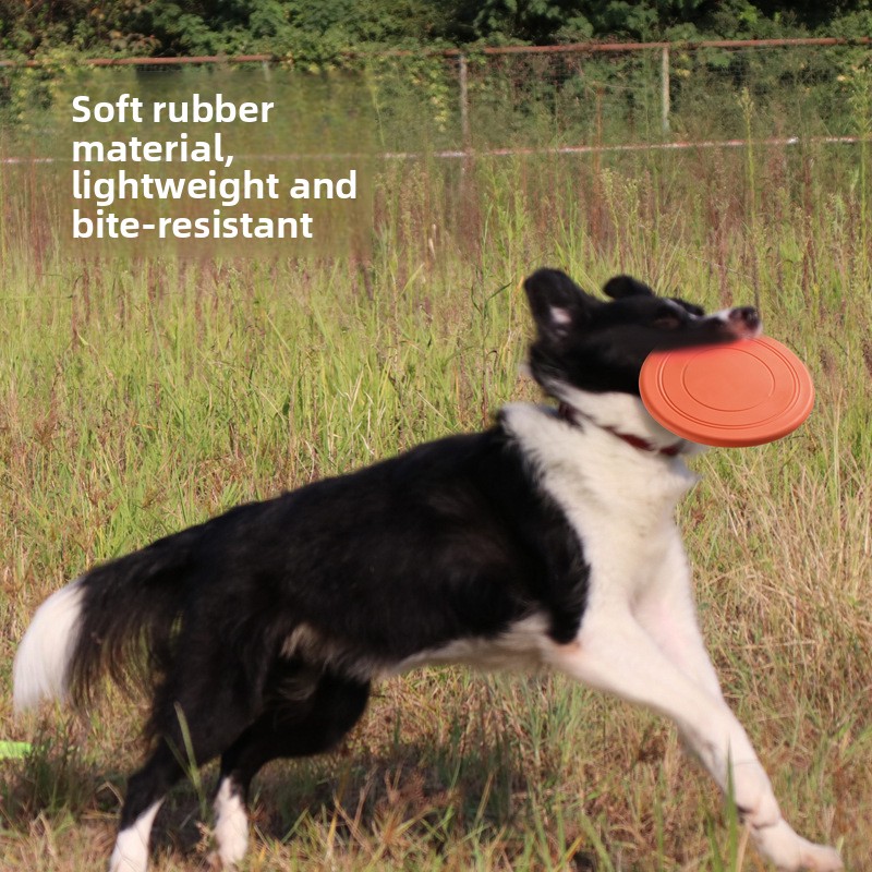 Frisbee Morbido Galleggiante p - Frisbee Freestyle Disc recensione e prezzo