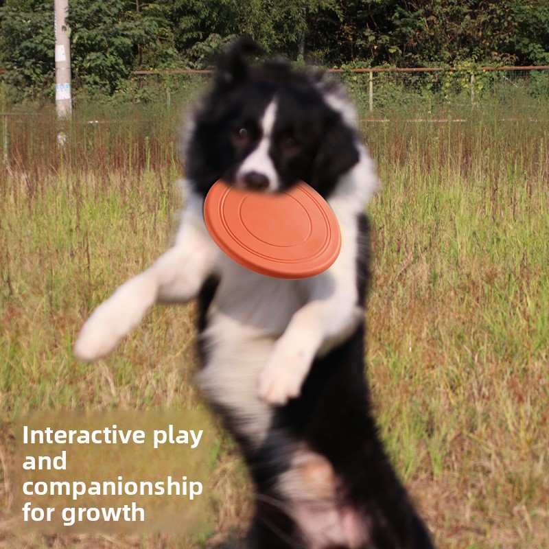 Frisbee Morbido Galleggiante p - Frisbee Freestyle Disc recensione e prezzo