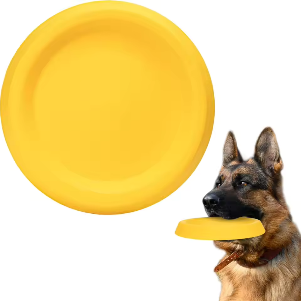 Frisbee per cani in EVA resist - Frisbee Freestyle Disc recensione e prezzo