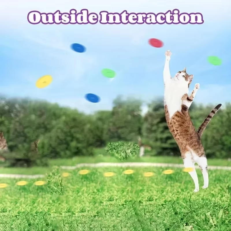 Giocattoli Divertenti per Gatt - Frisbee Freestyle Disc recensione e prezzo