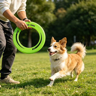 Frisbee con anello cavo resist - Frisbee Freestyle Disc recensione e prezzo