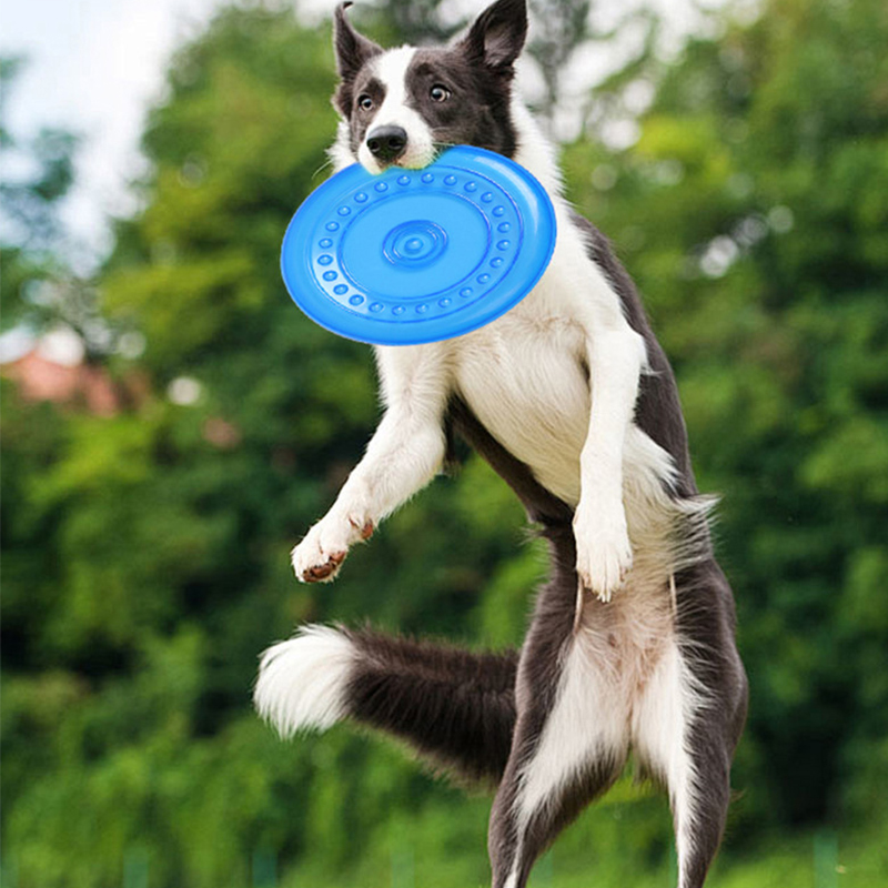 Frisbee da addestramento per a - Frisbee Freestyle Disc recensione e prezzo