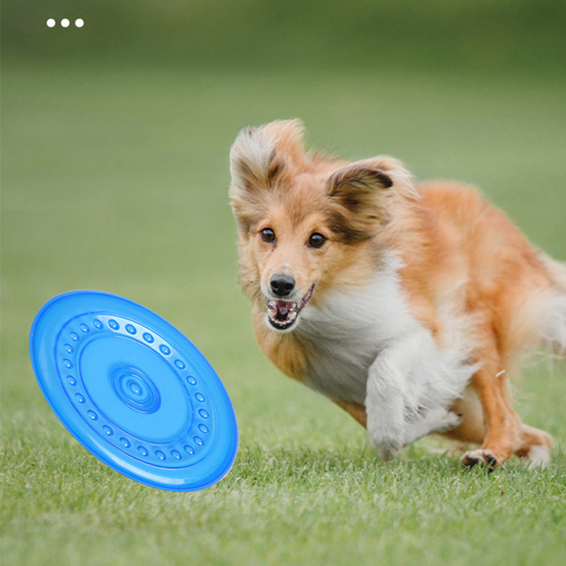 Frisbee da addestramento per a - Frisbee Freestyle Disc recensione e prezzo