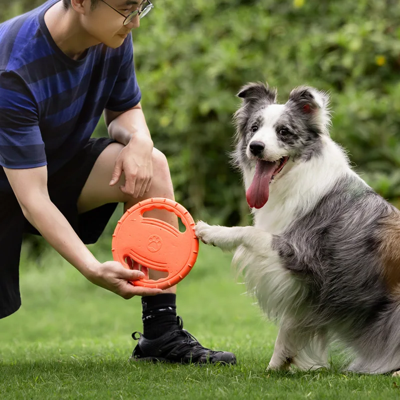 Frisbee Resistente per Cani, G - Frisbee Freestyle Disc recensione e prezzo