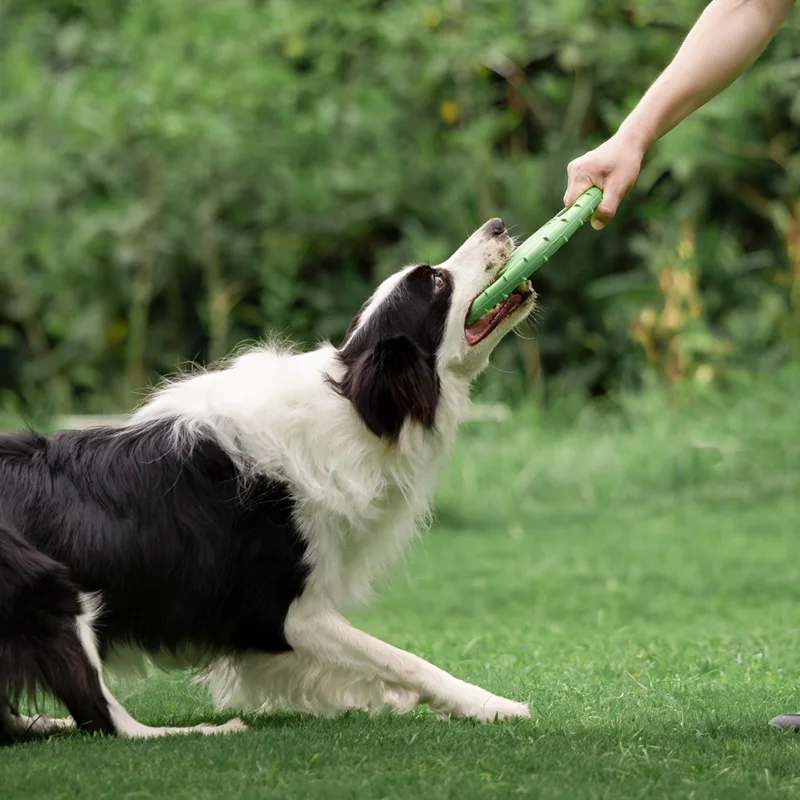Frisbee Resistente per Cani, G - Frisbee Freestyle Disc recensione e prezzo